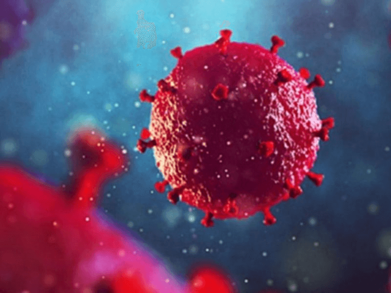 Những dấu hiệu HIV qua từng giai đoạn phát triển bạn cần biết